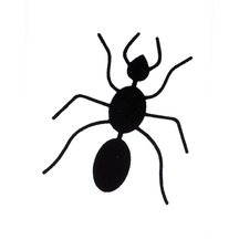 Ant