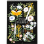 Product Image for papio-press-2026-fantasy-calendar