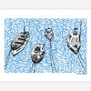 A printed artwork shows four small boats viewed from above on blue water patterned with white fish, with the text "PAPIO PRESS" at the lower right and "PZ689" on the left boat.
