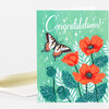 A folded greeting card with a green cover reading "Congratulations!" in white script, illustrated with a butterfly, orange flowers, leaves, and small star-like sparkles.