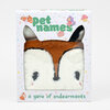 A boxed game titled "pet names" with a cat-face shaped cutout window showing a plush animal face inside and the subtitle "a game of endearments."