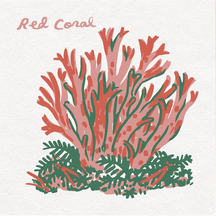 Red Coral