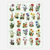 An alphabet print showing letters A through Z paired with illustrated flower fairies and labeled flowers, including visible text such as Allium, Bleeding Heart, Cornflower, Dahlia, Echinacea, Foxglove, Geum, Hellebore, Iris, Jonquil, Knautia, Lily of the Valley, Marigold, Nasturtium, Oxalis, Poppy, Queen Anne's Lace, Rose, Sweet Pea, Tulip, Ursinia, Violet, Wallflower, Xeranthemum, Yarrow, and Zinnia.
