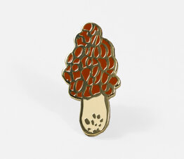 Morel Mushroom
