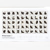 A framed print or poster titled "50 State Stamps" showing a grid of 50 stylized postage-stamp designs, each labeled with a U.S. state name and featuring a black bird illustration with decorative geometric details and "76c" in the corner.
