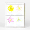 A clear-backed sheet of four hand-colored floral stamp prints arranged in a 2x2 grid, with faint handwritten captions and numbering along the bottom.