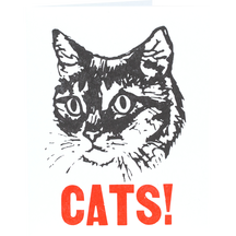 Cats!