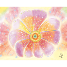 Open Flower