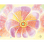 Product Image for sarah-jacoby-open-flower-print