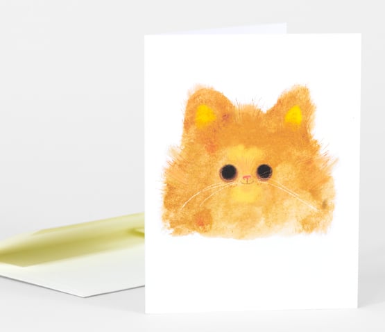 Orange Cat