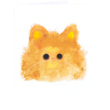 Orange Cat
