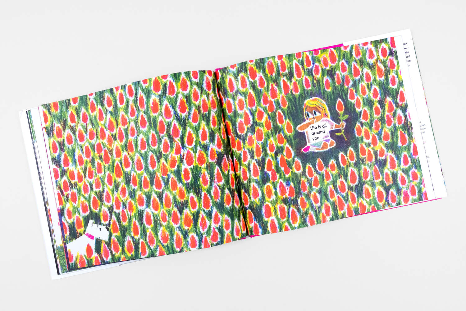 Shawn Harris Have You Ever Seen a Flower? at