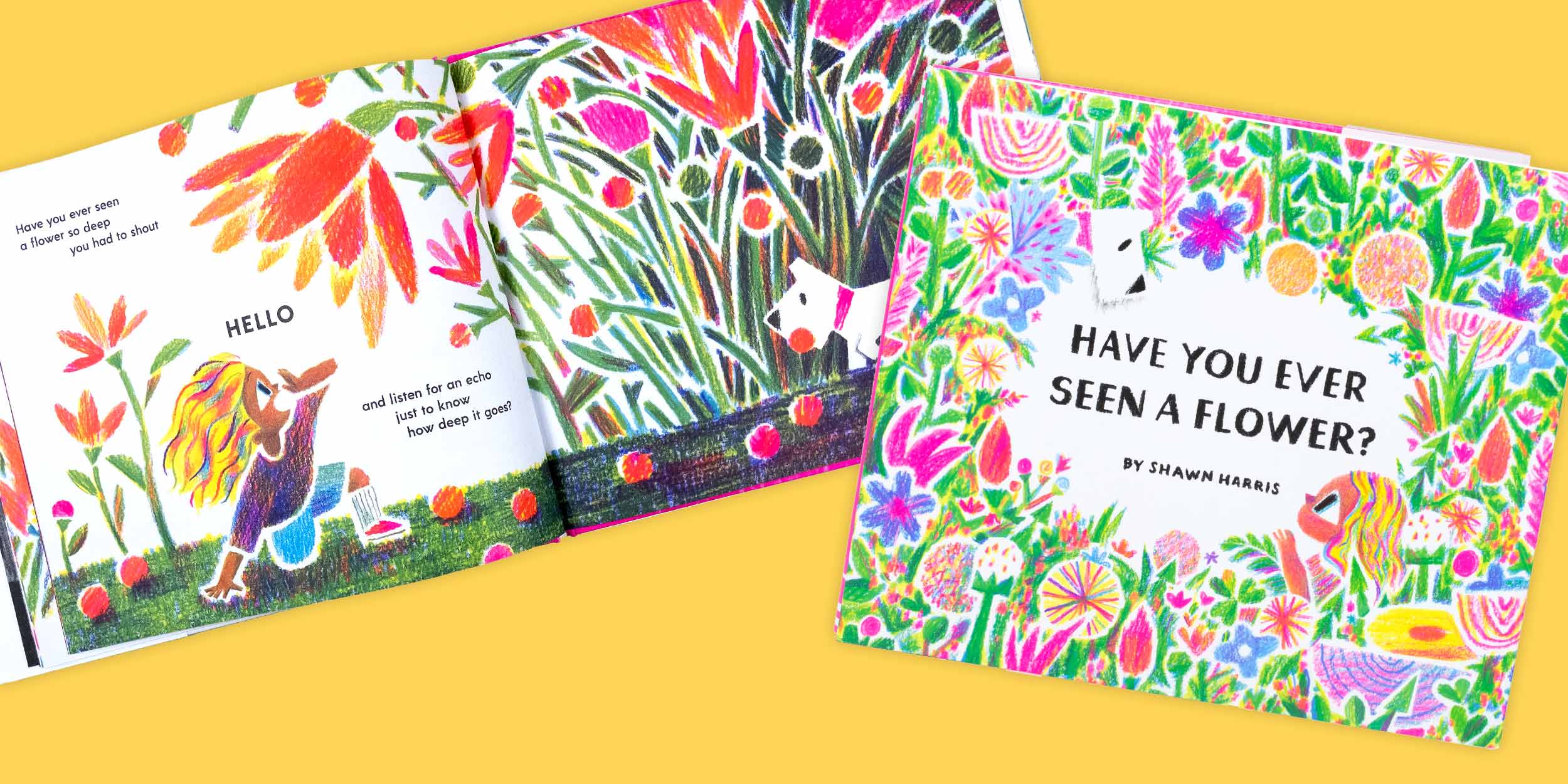 Shawn Harris Have You Ever Seen a Flower? at