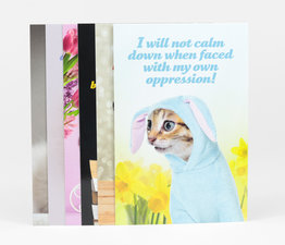 Social Justice Kittens Vol. III