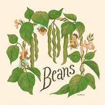Beans