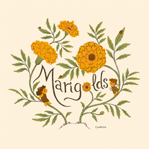 Marigolds