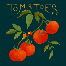Tomatoes