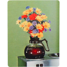 Flower Pot