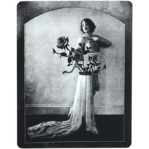 The Vase