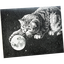Product Image for the-galek-sea-gsc-1033-moon-cat-greeting-card