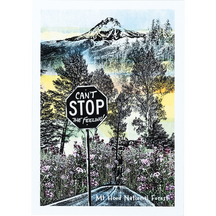 Take In The Mountain Air