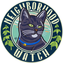 Neighborhood Watch: Black Cat