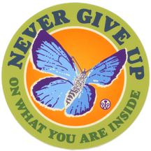Never Give Up Butterfly