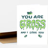 A folded greeting card with the text "YOU ARE GROSS AND I LOVE YOU" in dark teal and slime-green lettering, with small illustrated flies above and below the words.