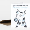 A folded greeting card shows a cartoon cow with the text "CONGRATS ON THE BIG MOOOOOOVE" on the front.