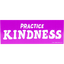 Product Image for will-bryant-practice-kindness-sticker